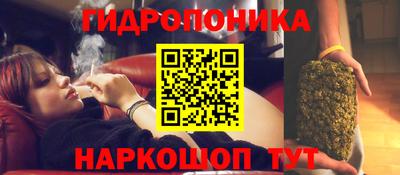 PSILOCYBIN Пугачёв