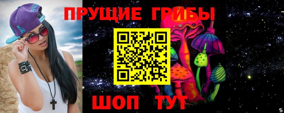 Псилоцибиновые грибы Cubensis Новозыбков